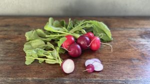 Sæsonens råvarer april - Radise 