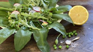 Ramsløgsalat