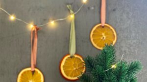  appelsin tørrede appelsiner jul